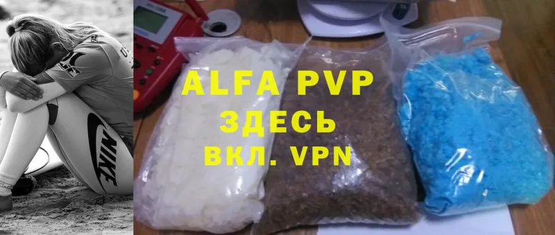 A PVP СК КРИС  Алейск 